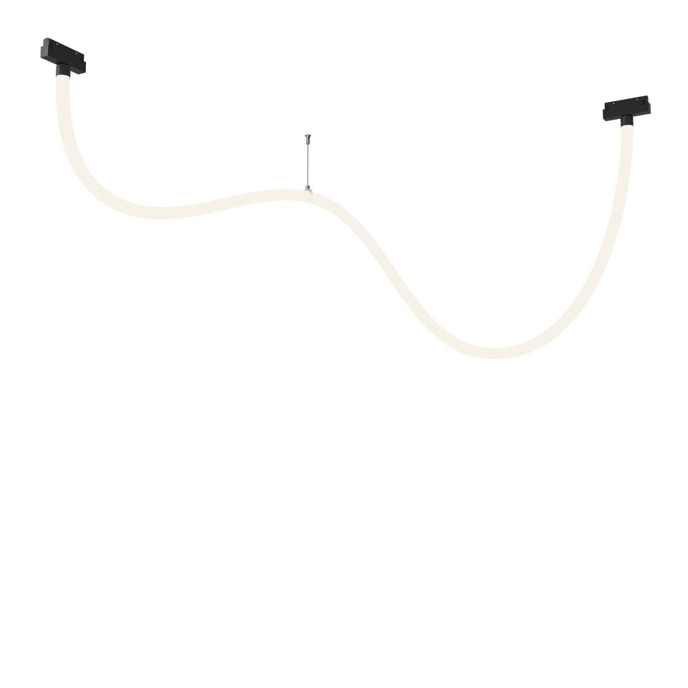 Трековый магнитный светодиодный светильник Maytoni   TR101-2-50W4K-B