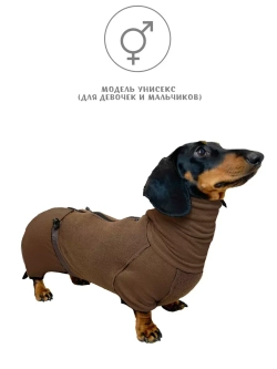 Флисовый комбинезон для таксы весенний