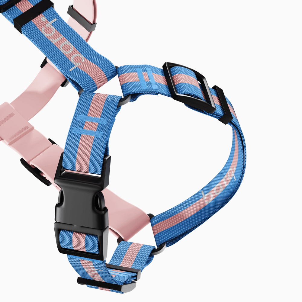 Шлейка Stripes