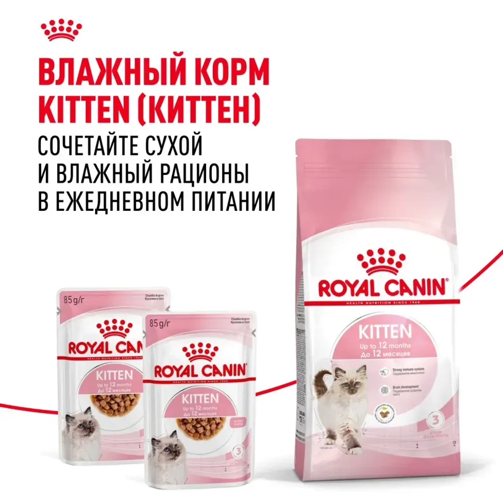 Royal canin kitten 34 сухой корм для котят от 4 до 12 месяцев с птицей - 300 г