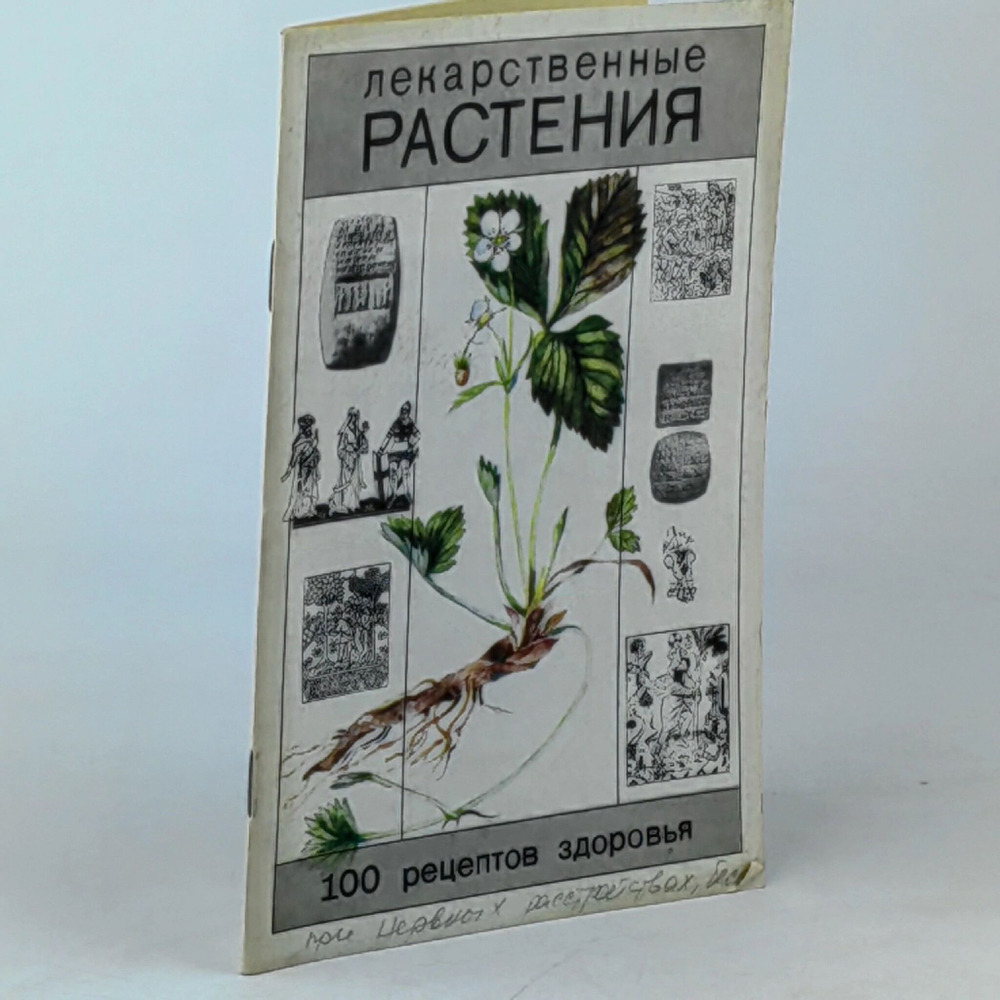 Лекарственные растения. 100 рецептов здоровья