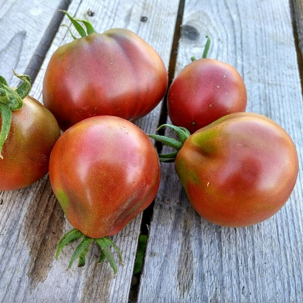 Винный кувшин (Wine jug) сорт томата
