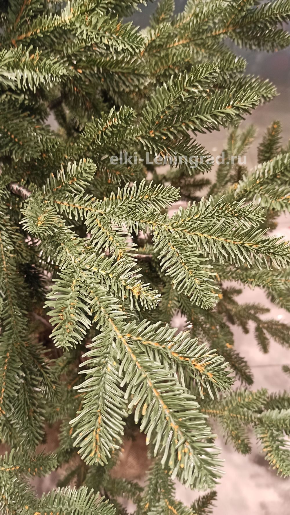 Искусственная ель на ножке «Датская» (Литая хвоя) высота от 1.2 м до 2.4 м