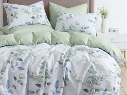 Постельное белье СайлиД BP-171 сатин