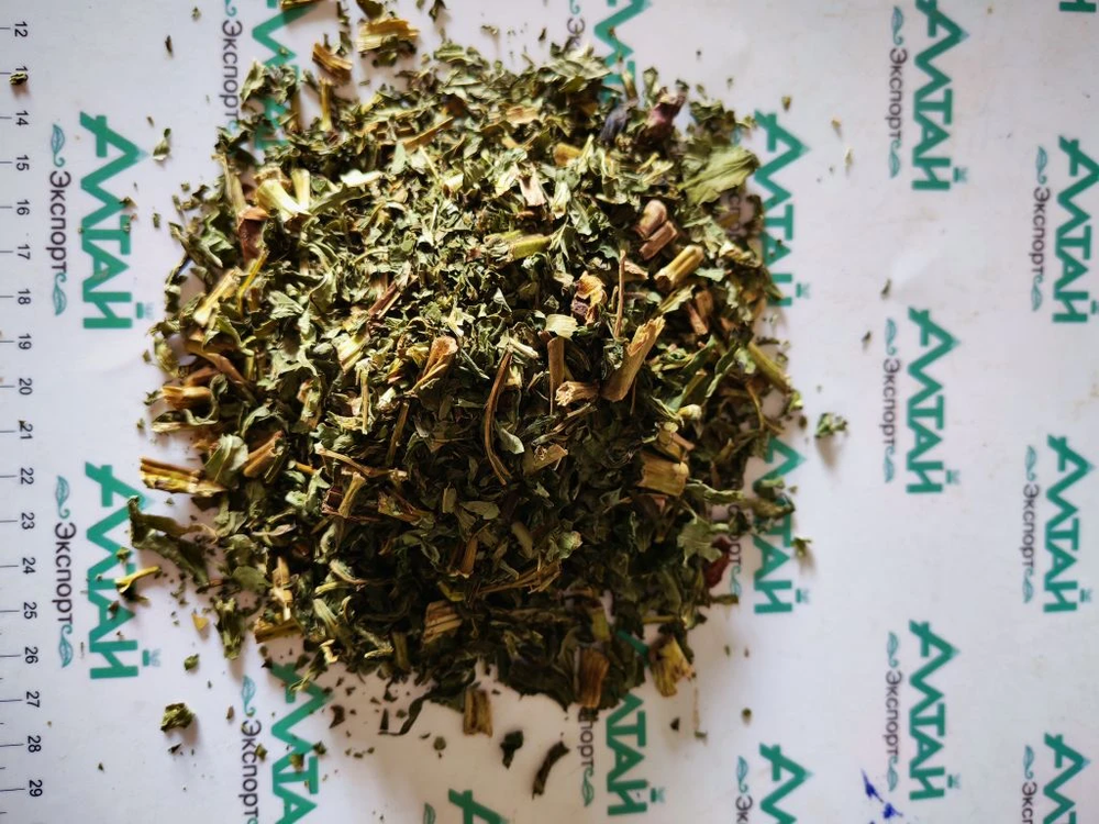 Пион уклоняющийся трава Алтай