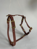 Шлейка из биотана на латунной фурнитуре , s , 15 мм, цвет Мокко под кожу