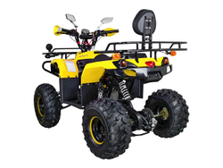 Квадроцикл AVANTIS Patriot Lux