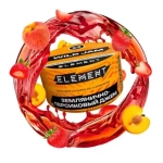 Element Earth - Wild Jam (200g)
