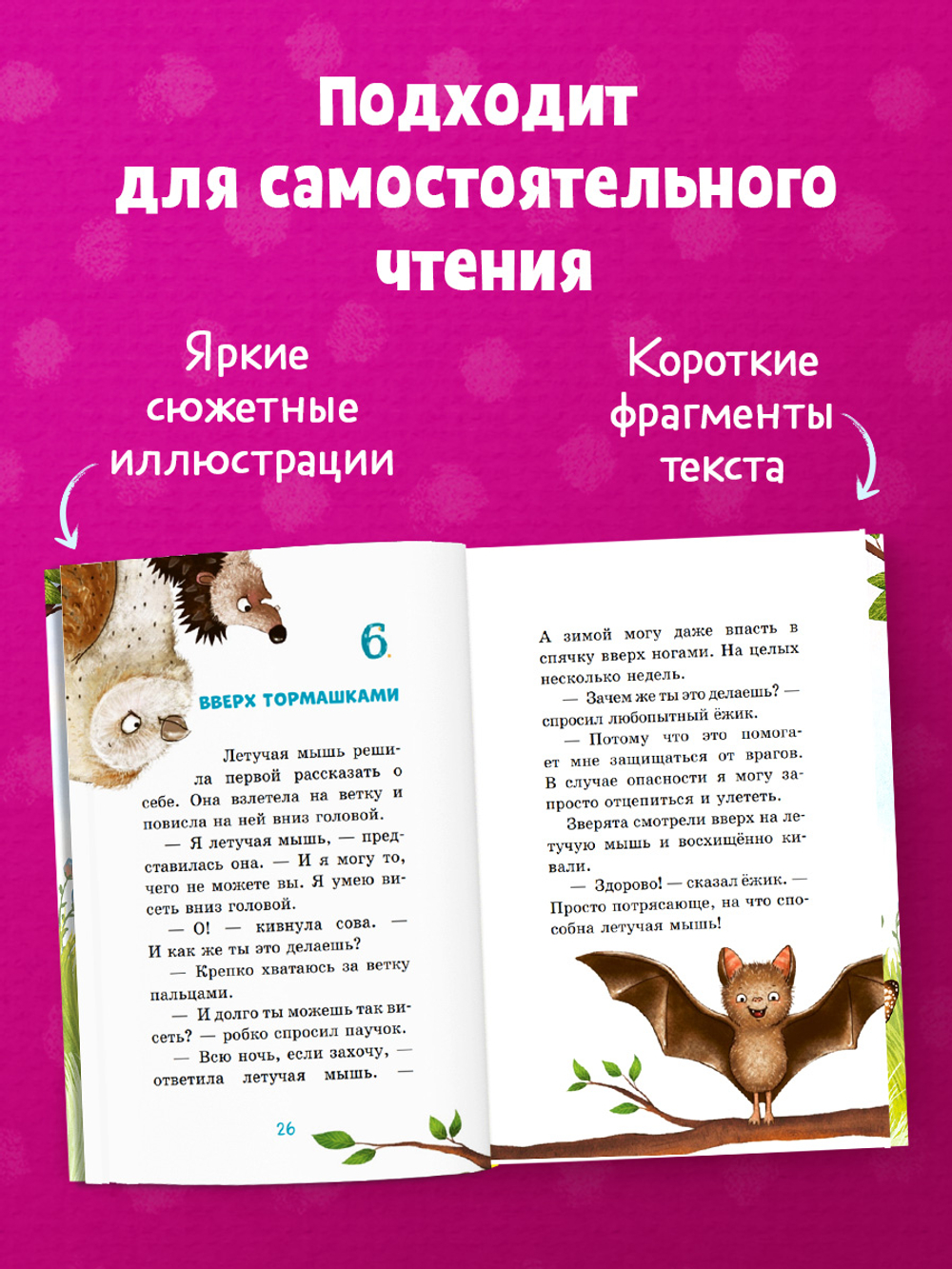 CLEVER-чтение. Маленькая соня. Первый день в Лесной школе