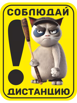 Наклейка на авто надпись с котом