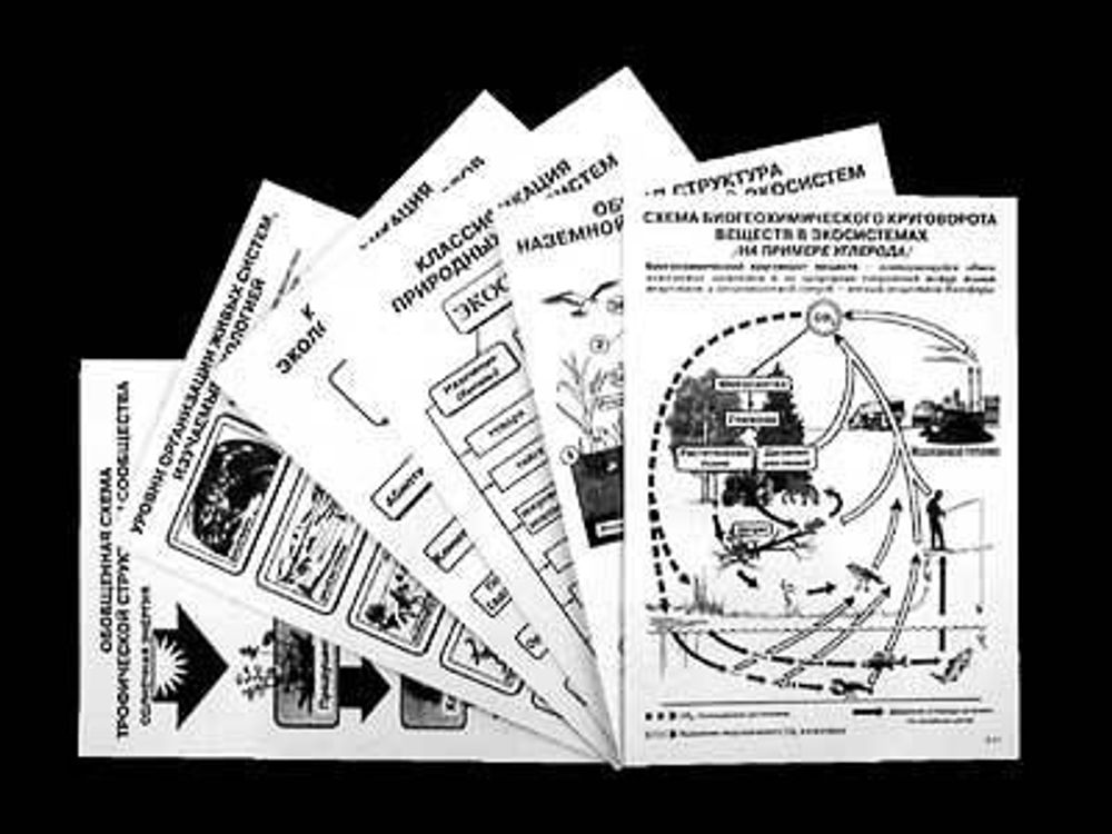 Таблицы раздаточные &quot;Экосистема-экологическая единица окружающей среды&quot; (А4, 12шт)