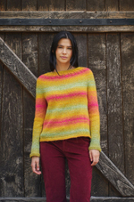 Пряжа Laines du Nord Andina Color (06)