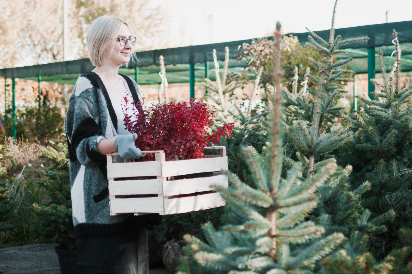 Новая поставка из Европы