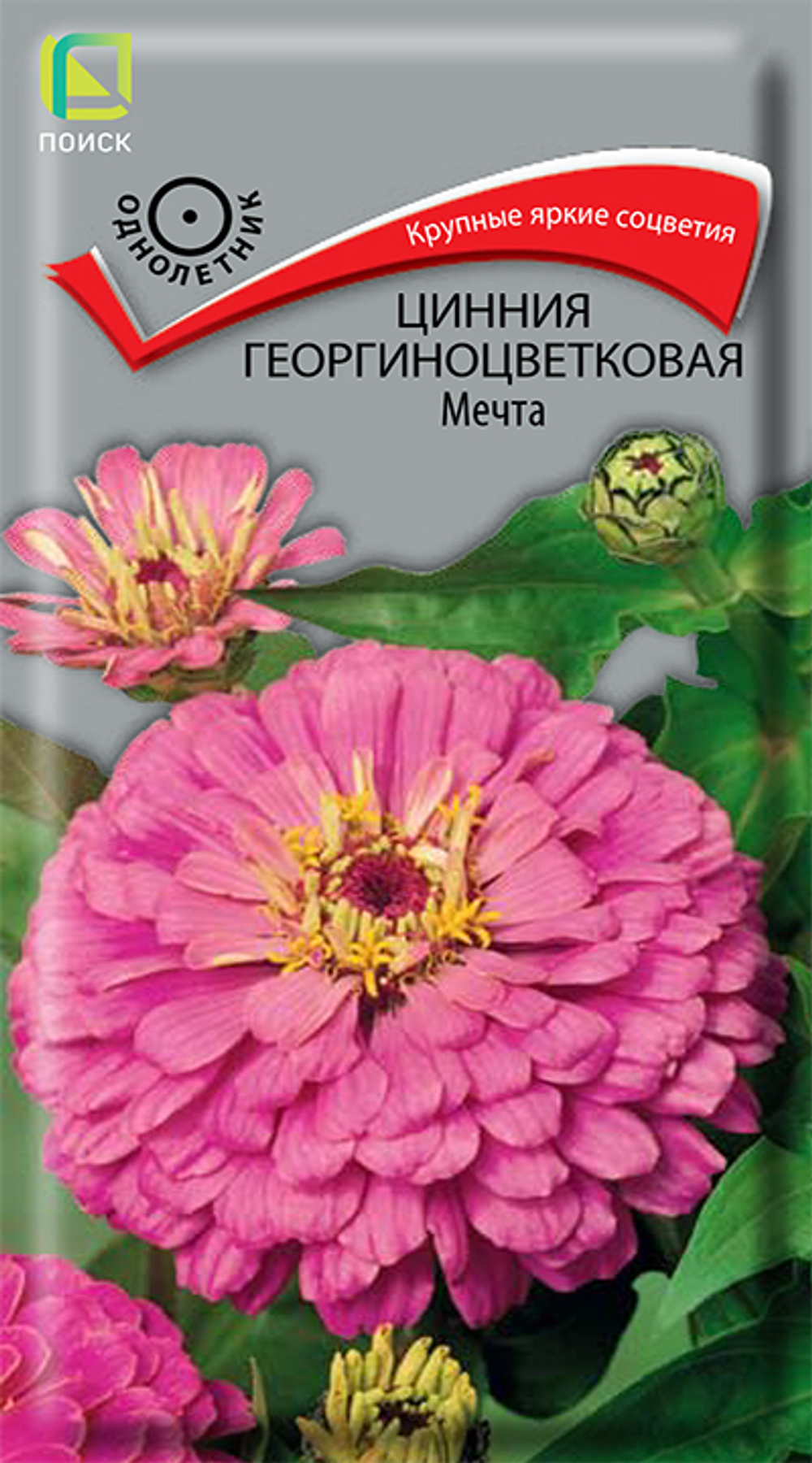 Цинния георгиноцветковая Мечта
