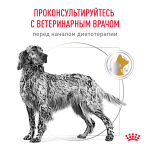 Royal Canin Urinary S/O Canine Уринари С/О канин Корм сухой диета для взрослых собак при мочекаменной болезни и цистите 2кг