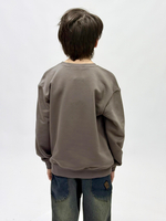 Свитшот трикотажный для мальчика 9-18 лет Fleur de Vie