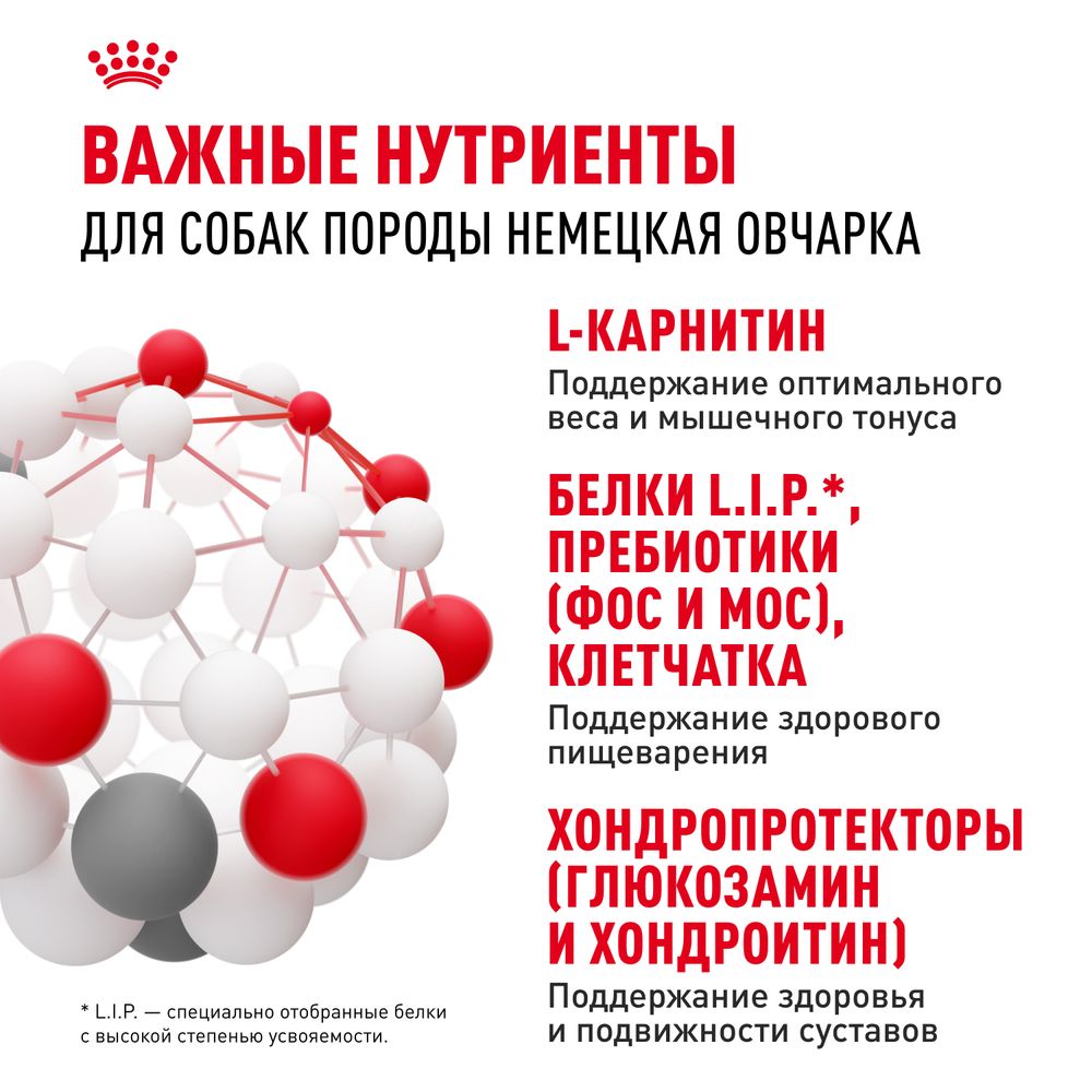 Сухой корм Royal Canin German Shepherd Adult для взрослых собак породы Немецкая Овчарка от 15 месяцев