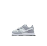 Детские кроссовки Nike Dunk Low 'Two-Toned Grey' DH9761-001