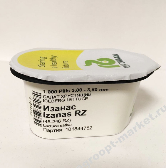Изанас семена салата айсберг (Rijk Zwaan / ALEXAGRO) – фото 13