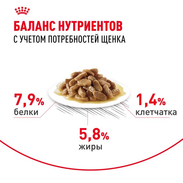 Пауч Royal Canin Mini Puppy для щенков мелких пород в возрасте до 10 месяцев, кусочки в соусе