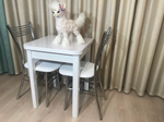 Кухонный раскладной стол на ножках квадро Glossy Wide White
