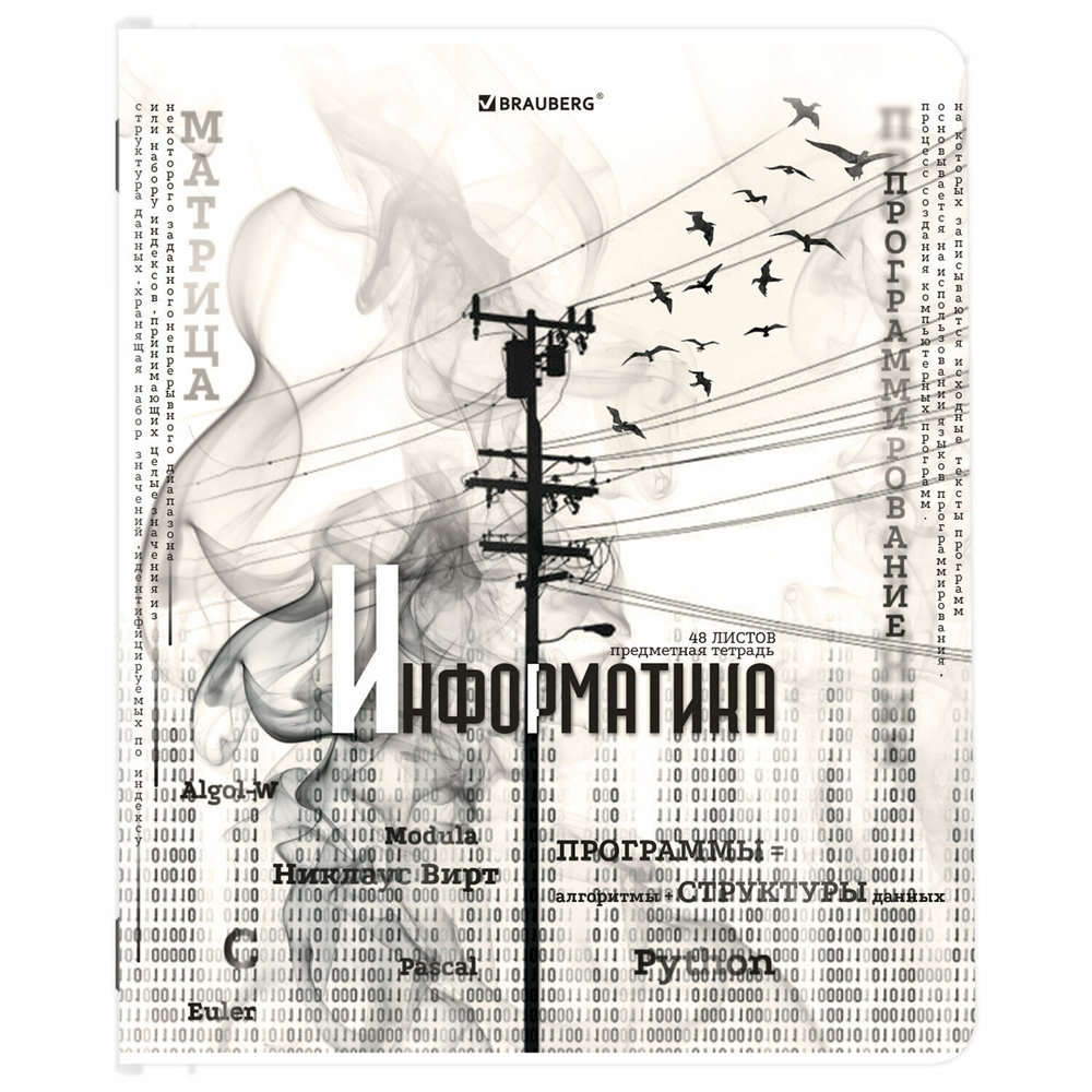 Тетради предметные комплект 12 ПРЕДМЕТОВ 48 л. матовая ламинация BRAUBERG "BLACK&WHITE" (2 штуки в упаковке)