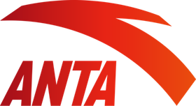 Носки короткие ANTA