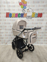 Коляска модульная Adamex Amelia Am243