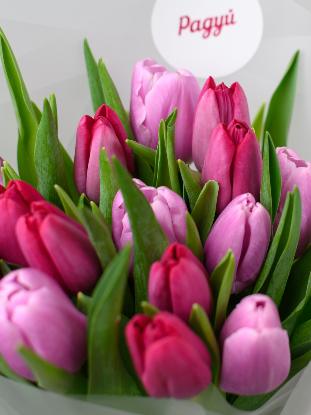 Тюльпаны микс