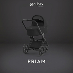 Коляска 3 в 1 Cybex Priam IV Matt Black complete и автокресло Aton B2 i-Size Volcano Black Sepia Black