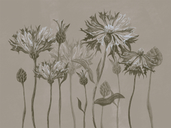 Коллекция SUMMERTIME