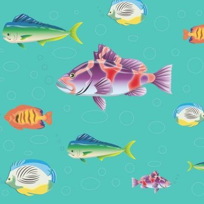 разноцветные разные рыбки