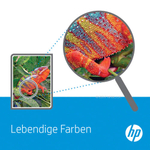 HP 10 Подлинный Черный 1 шт C4844A