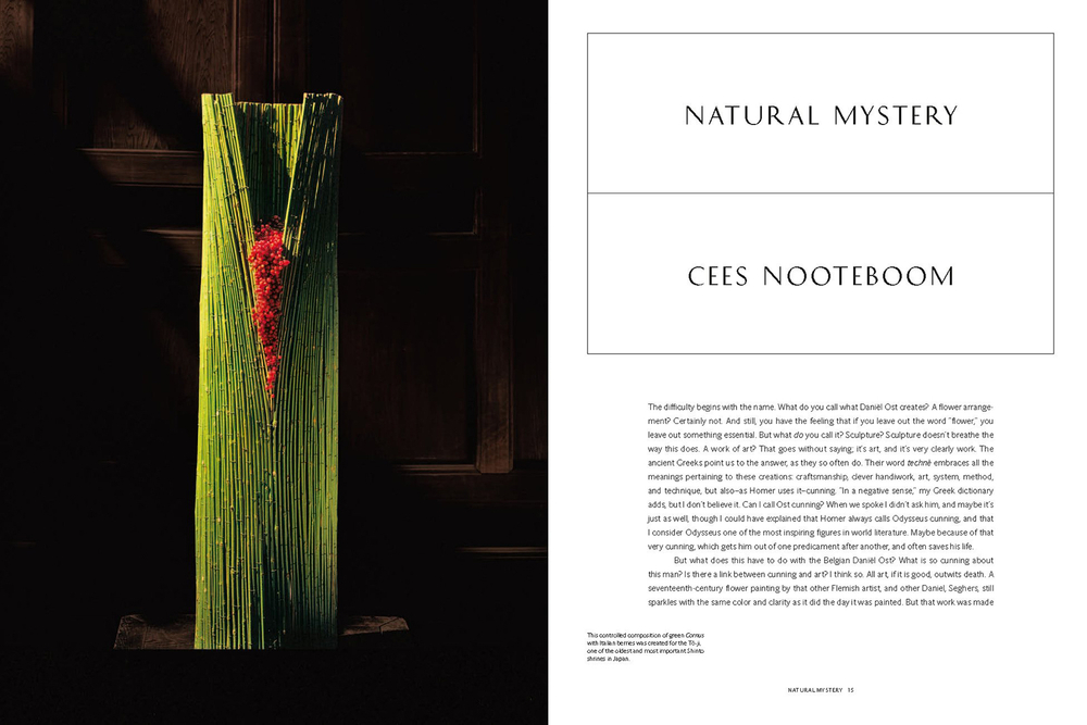 Daniel Ost: Floral Art and the Beauty of Impermanence