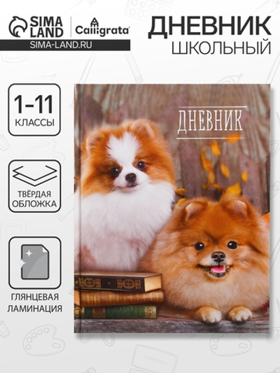 Дневник школьный для 1-11 классов, «Шпиц», твёрдая обложка 7БЦ, глянцевая ламинация, 40 листов