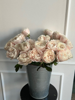 Роза нежная одноголовая