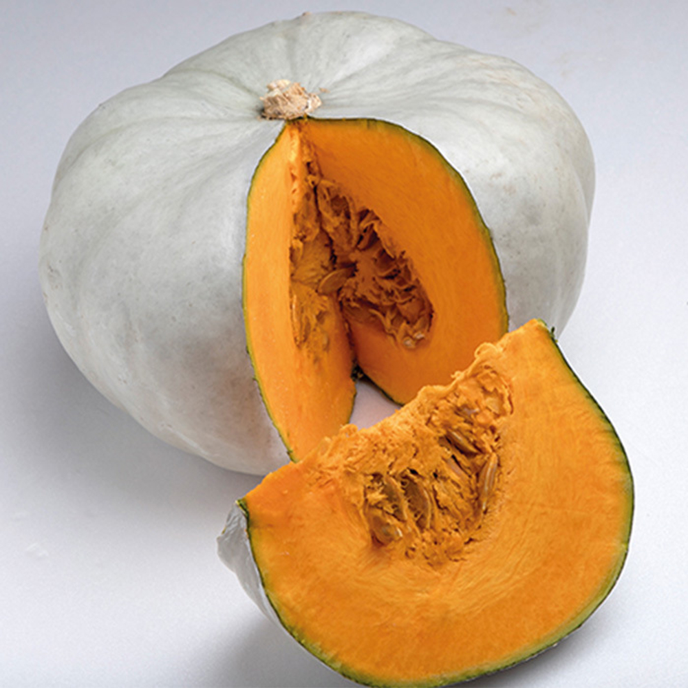 Нельсон F1 семена тыквы (Enza Zaden / Энза Заден)