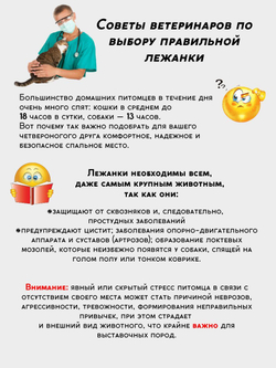 Лежанка для кошек и собак мелких и средних пород Chauzi "Лео" из петлевого ковролина на ножках с бортиком 60*40 см, кэмел