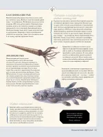 Книга Муми-тролли на рыбалке