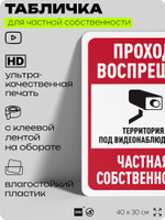 Табличка для частной территории "Проход воспрещен", на дом, для участка, организаций и частных территорий, предупреждающая, 40х30 см, Silver Plane x Айдентика Технолоджи