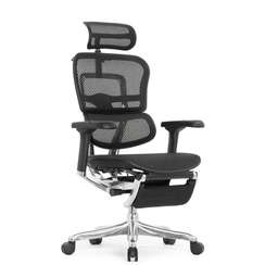 Кресло FALTO Ergohuman Elite 2 с подножкой ( чёрный каркас /сетка чёрный T-168-B1 Black )