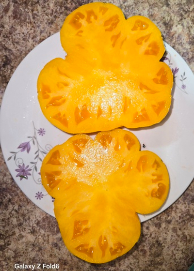 КАМЕННЫЙ ДОМИК ТЕТУШКИ ЮЛЫ