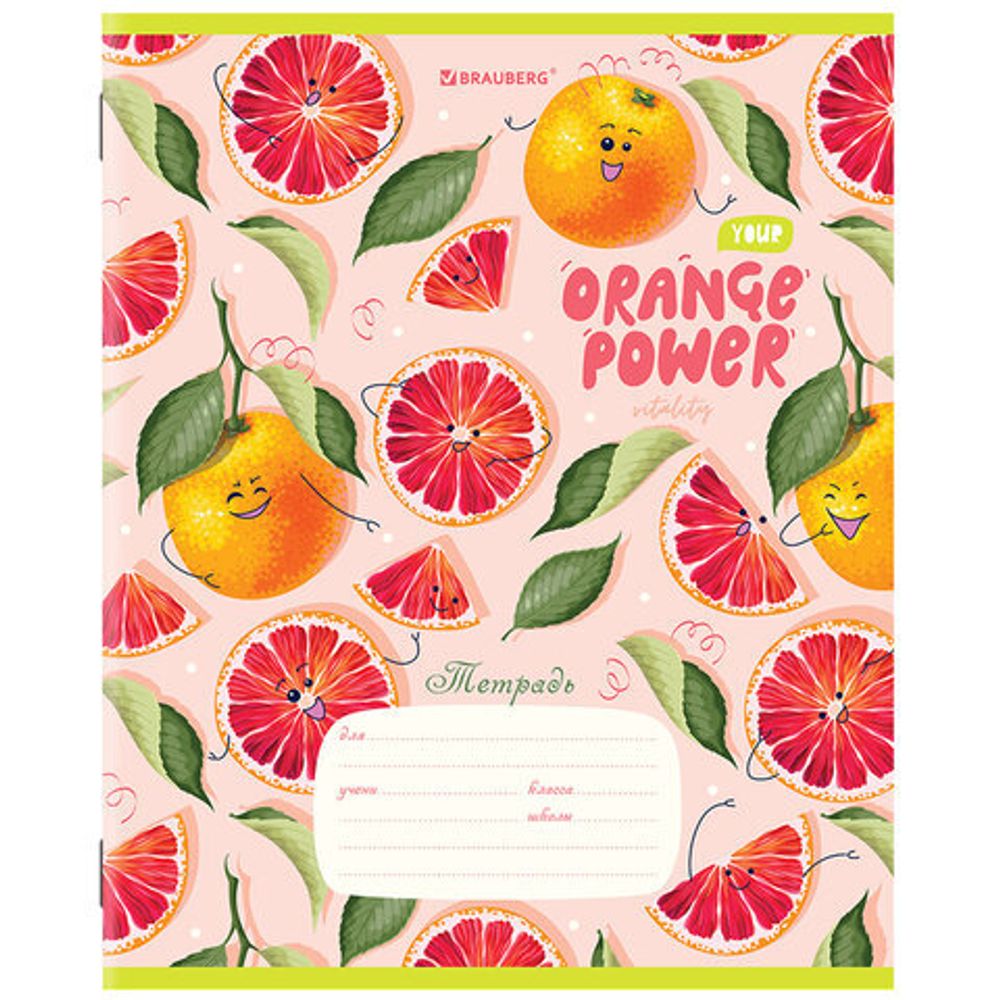 Тетрадь 18 л. BRAUBERG линия, обложка картон, "ФРУКТЫ", 106482, 5шт