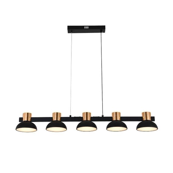 Подвесная светодиодная люстра Indigo Traforo 11059/5PL Black V000184L