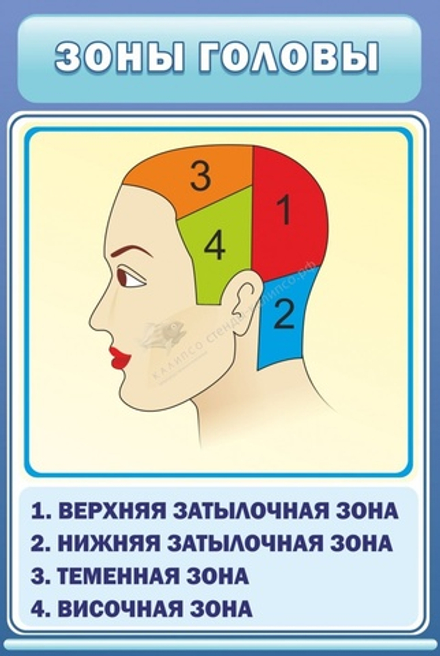 Стенд "Зоны головы"