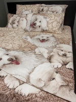 Постельное белье 1.5 спальное 50х70 хлопок 100%