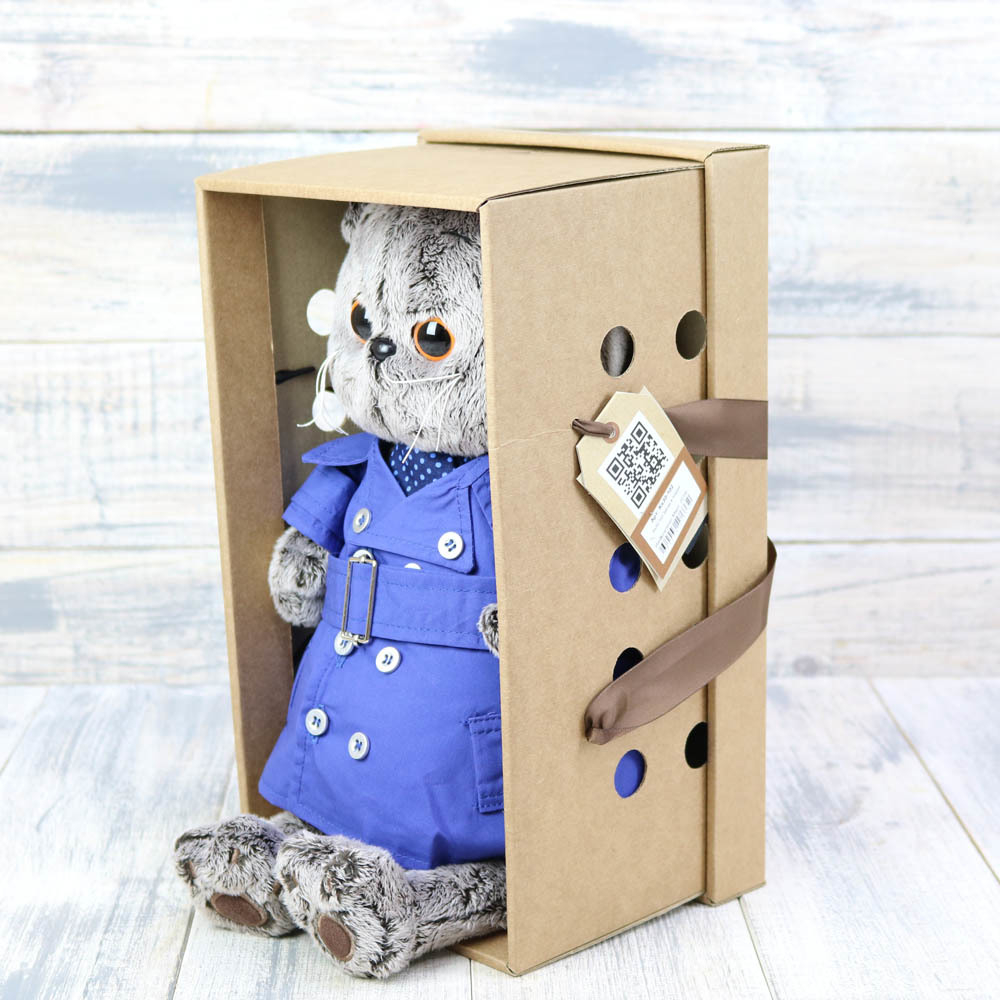 Кот Басик в плаще