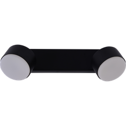 Светильник настенно-потолочный спот Rivoli Alesta 7079-702 2хGX53 15 Вт поворотный | Rivoli