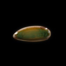 Блюдо овальное «Corone Verde» 310х135 мм синий+зеленый