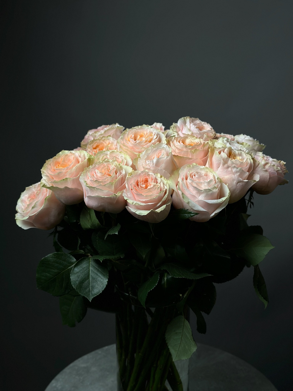 Розы поштучно «Princess crown» (Эквадор)